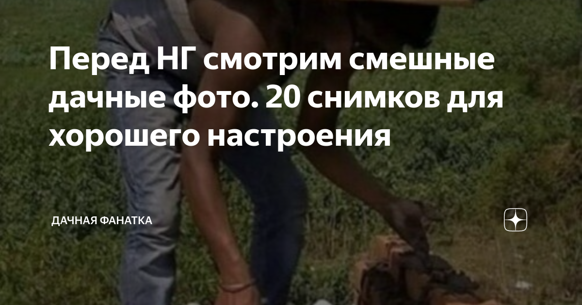 Перед НГ смотрим смешные дачные фото. 20 снимков для хорошего ...