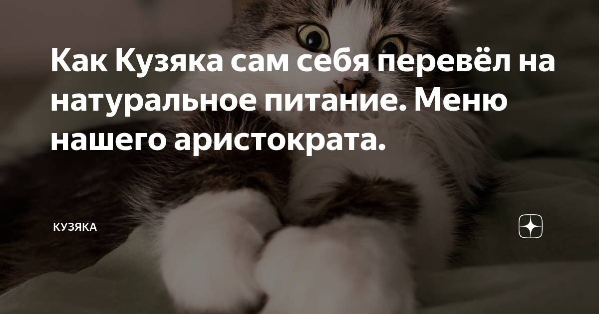 Как Кузяка сам себя перевёл на натуральное питание. Меню нашего ...