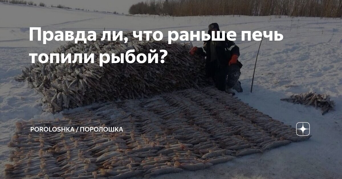 Правда ли, что раньше печь топили рыбой? | Poroloshka / Поролошка | Дзен