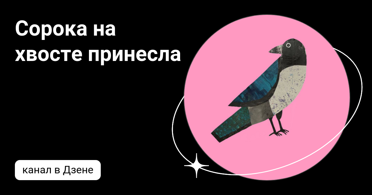 Сорока на хвосте принесла ютуб канал блоггер. Сорока на хвосте принесла.