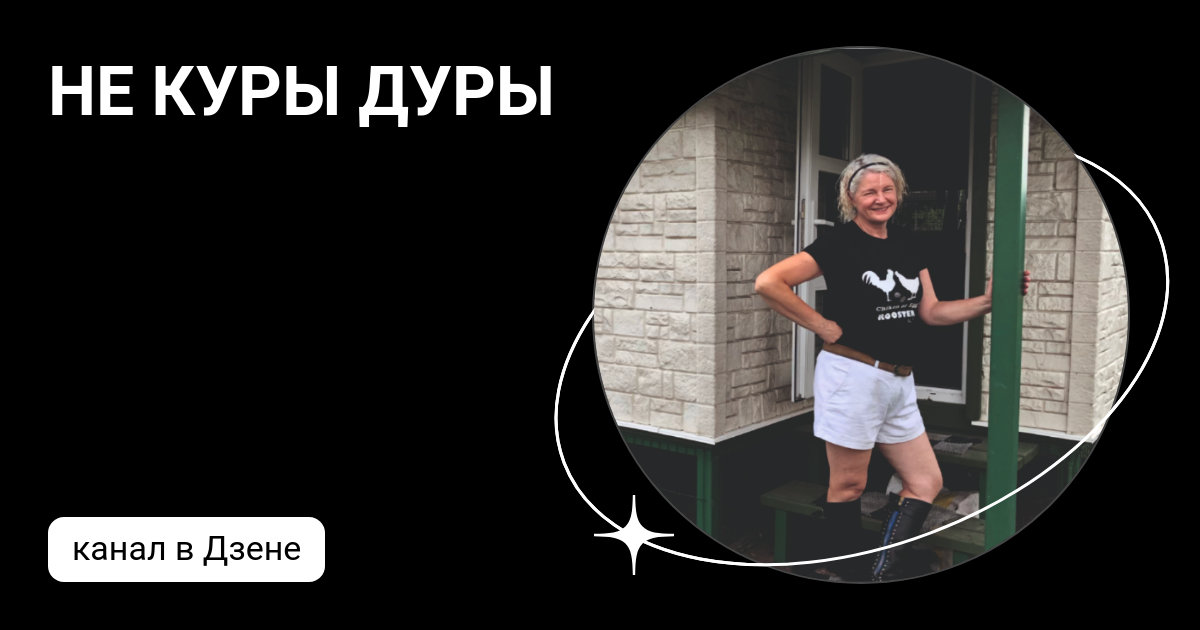 Что делать если куры лысеют. Курочка и дурочка. Куры не дуры. Петух дурак. Курочка и дурочка.
