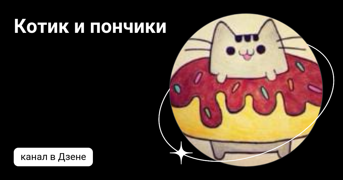 Котик и пончики | Дзен