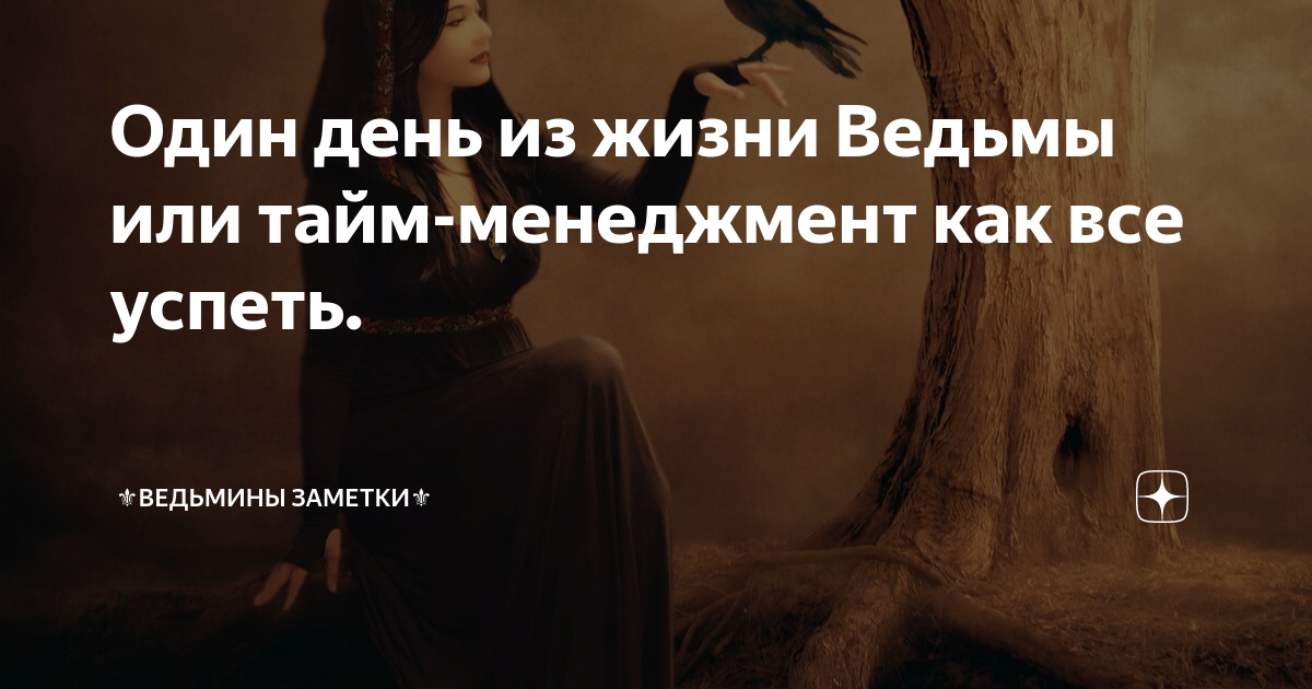 Беззаботная жизнь ведьмы