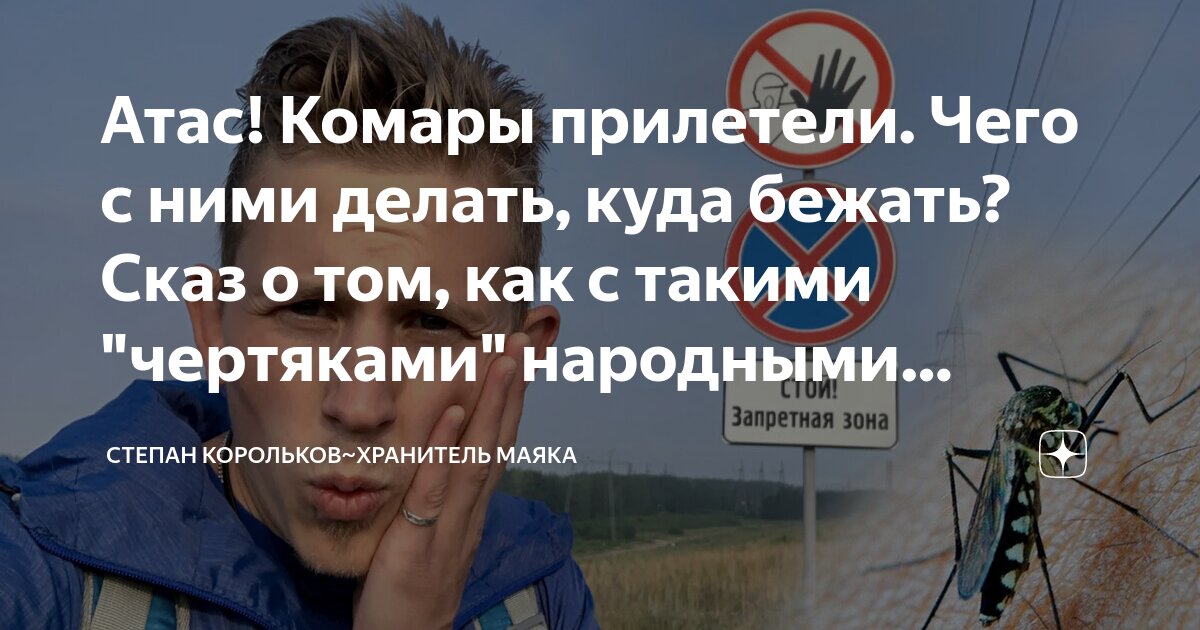 Названы научные и народные способы борьбы с комарами и мошкой - Российская газета
