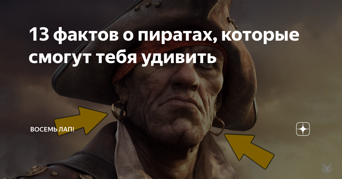 13 фактов о пиратах, которые смогут тебя удивить | Восемь лап! | Дзен