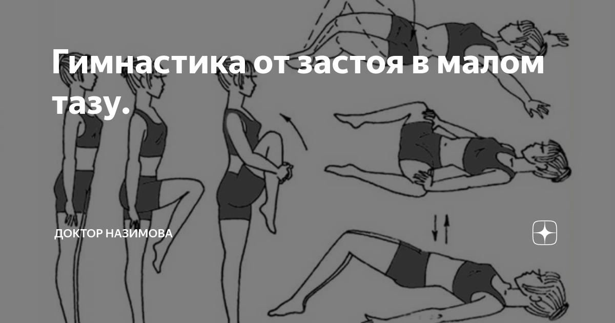 Гимнастика от застоя в малом тазу. | Доктор Назимова | Дзен