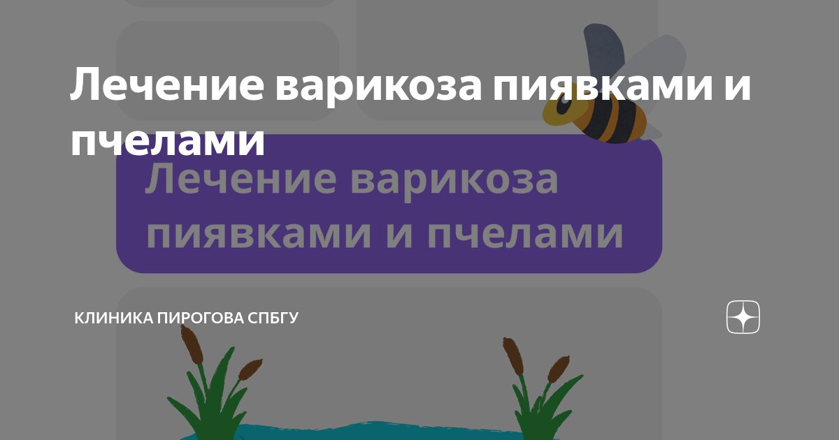 Эффективная апитерапия: лечение варикоза пчелами