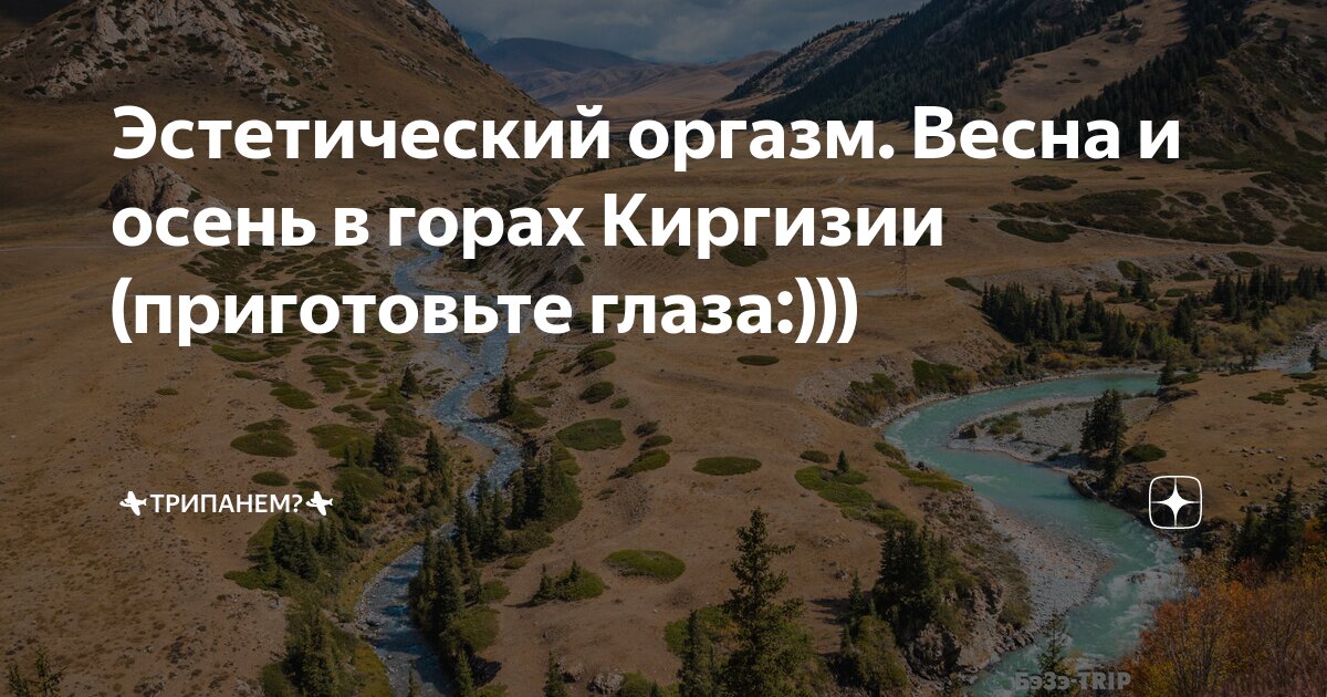 Что происходит в мозге во время оргазма? :: ДНК-клиника