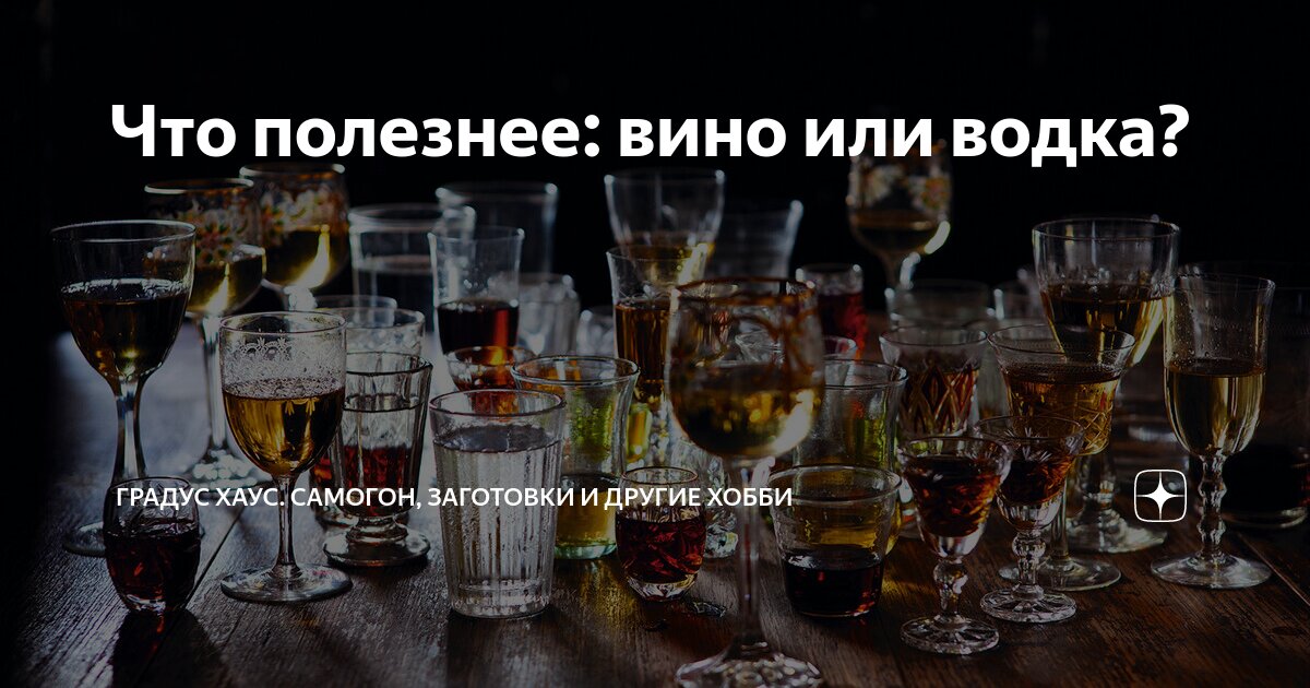 Что полезнее: вино или водка? | Градус Хаус. Самогон, заготовки и ...