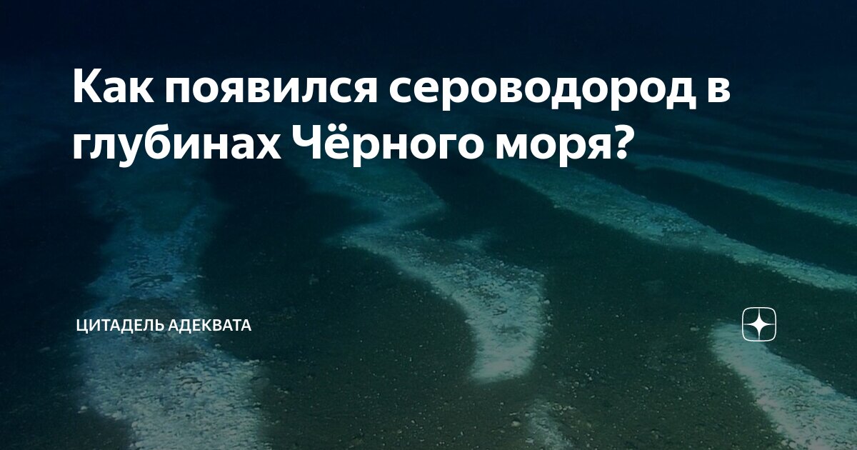 Как появился сероводород в глубинах Чёрного моря? | Цитадель адеквата ...