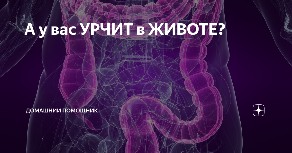 Урчит в животе причины лечение. Урчит в животе причины лечение