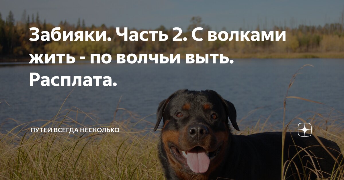 Забияки. Часть 2. С волками жить - по волчьи выть. Расплата. | Путей ...