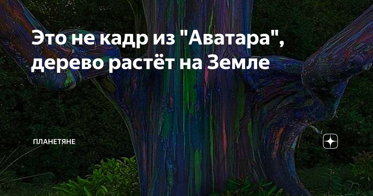 Что на самом деле означает дерево Эйва в фильме «Аватар»