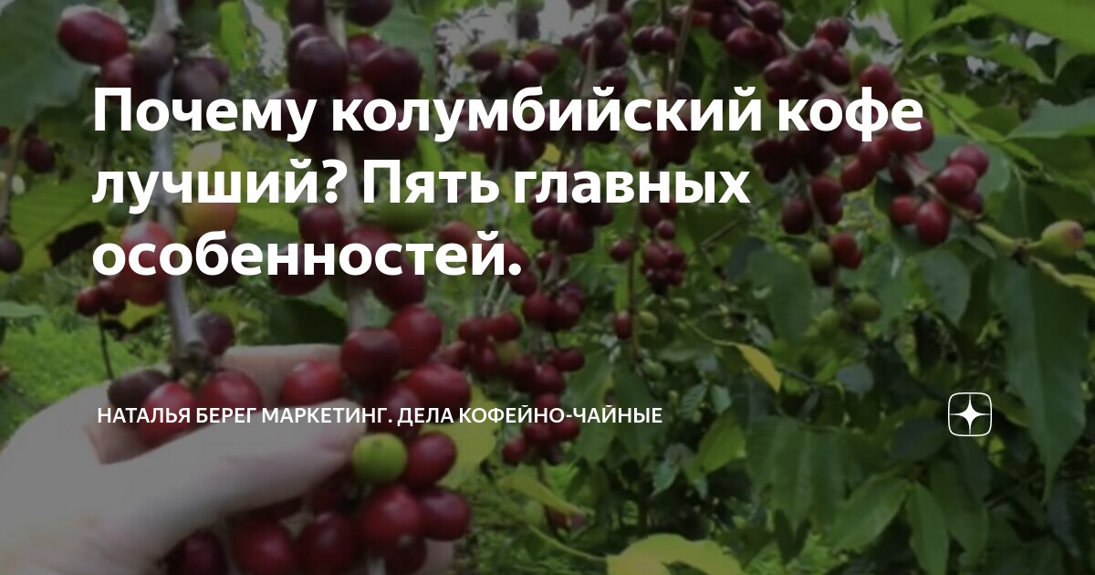 Почему колумбийский кофе лучший? Пять главных особенностей. | Наталья ...