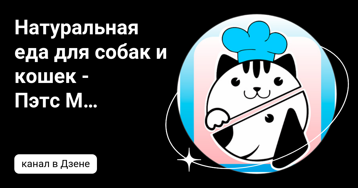 Натуральная еда для собак и кошек - Пэтс Меню | Дзен