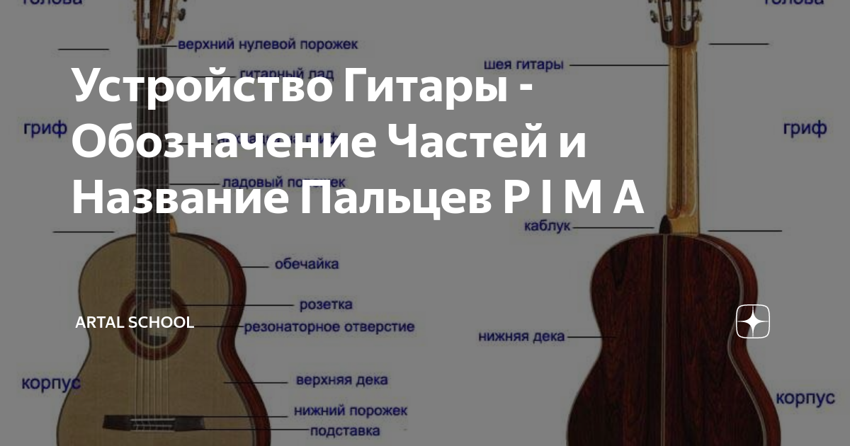 Устройство Гитары - Обозначение Частей и Название Пальцев P I M A ...