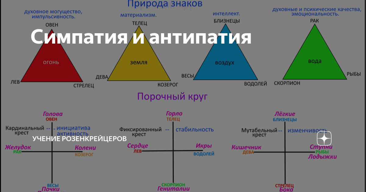 В мире животных есть симпатии и антипатии