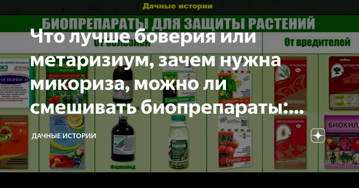 Что лучше боверия или метаризиум, зачем нужна микориза, можно ли ...