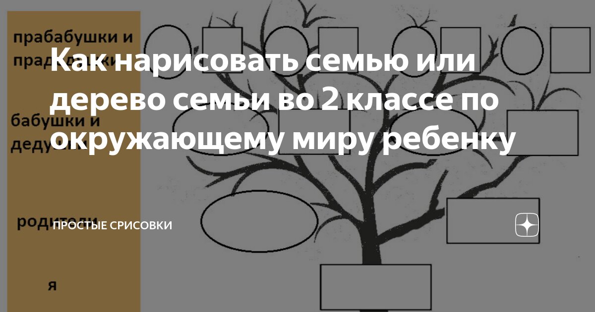 Древостой – состав, класс, характеристики