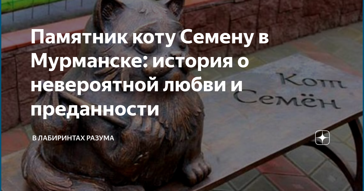 Памятник коту семену в мурманске фото Памятник коту Семену в Мурманске: история о невероятной любви и преданности В ла