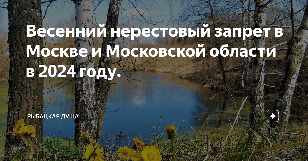Нерестовый запрет 2023. Рыбалка с какого числа запрет. Период запрета на рыбалку в 2021 году. Нерестовый запрет 2025 тульская область. Нерестовый запрет 2023.