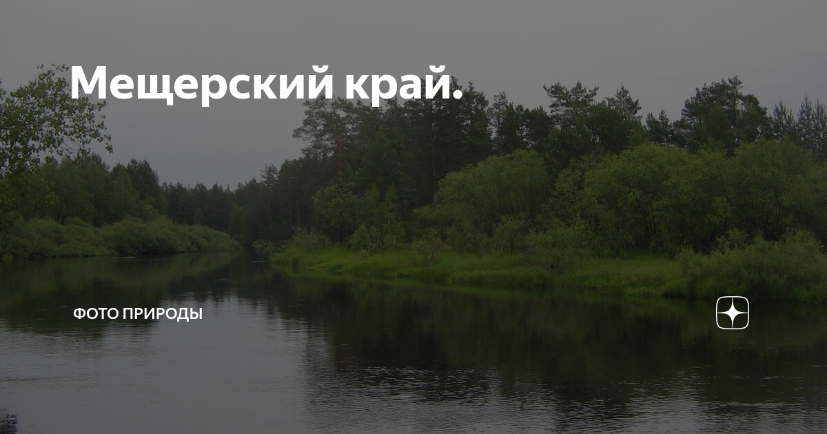 Мещерский край. В Мещёрском крае нет никаких особенных красот и богатств. Притягательная сила Мещерского края. В Мещерском крае нет никаких. Прелесть мещерского края