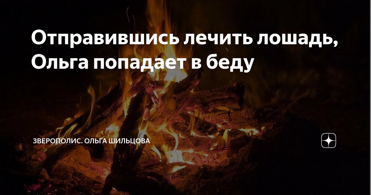 Отправившись лечить лошадь, Ольга попадает в беду | Зверополис. Ольга ...