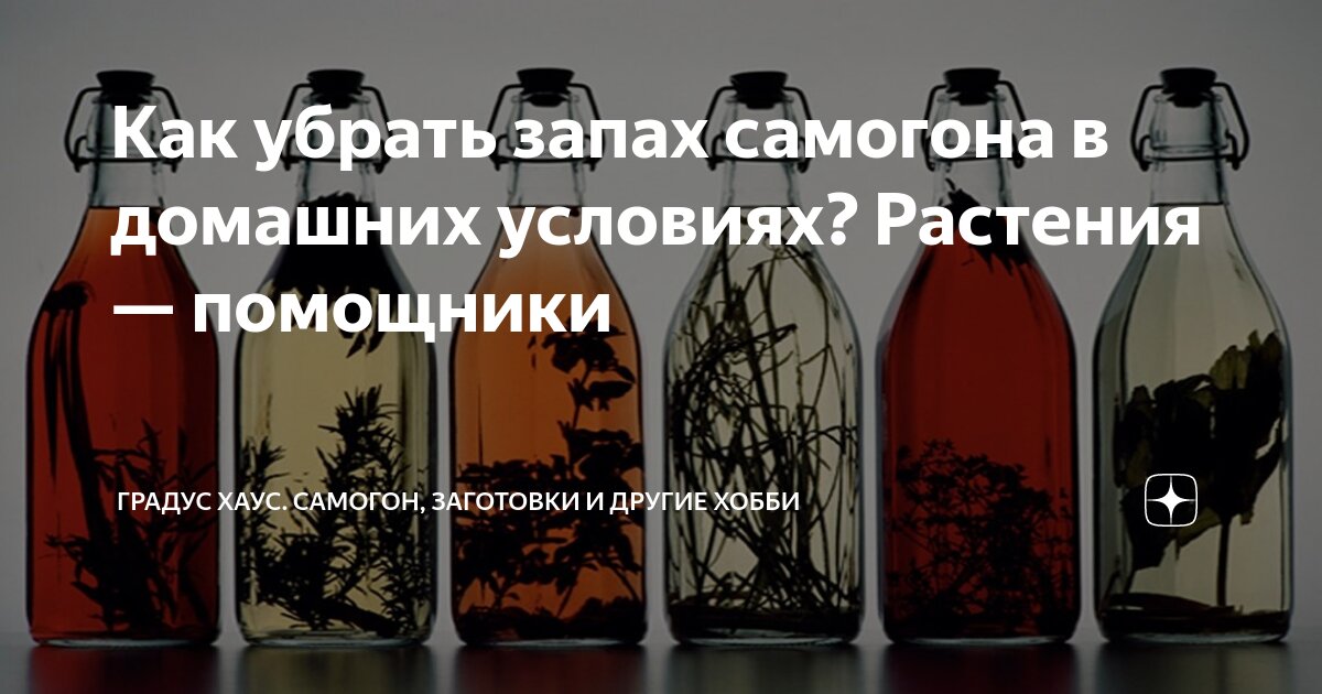 Как убрать запах самогона в домашних условиях? Растения — помощники