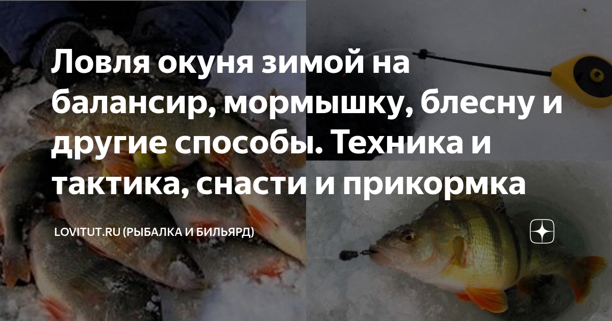 Ловля окуня на балду зимой: устройство снасти, изготовление своими руками | РЫБАЛКА