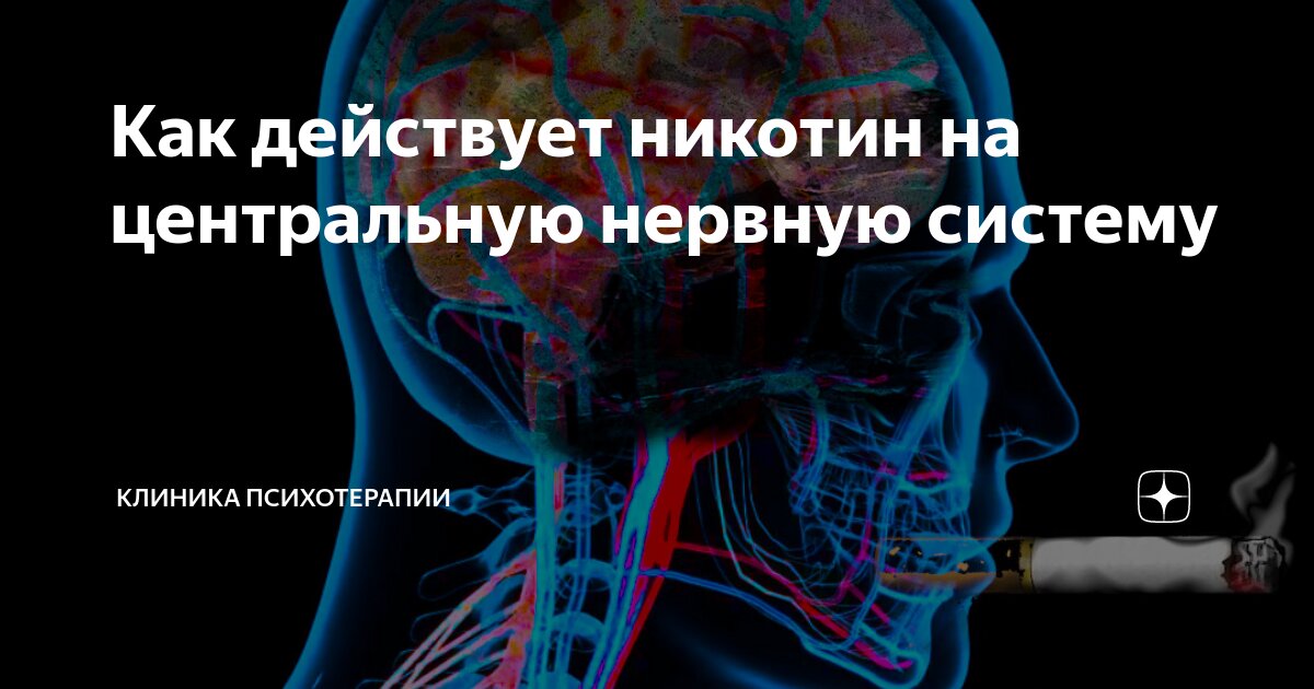 Как действует никотин на центральную нервную систему | Клиника ...
