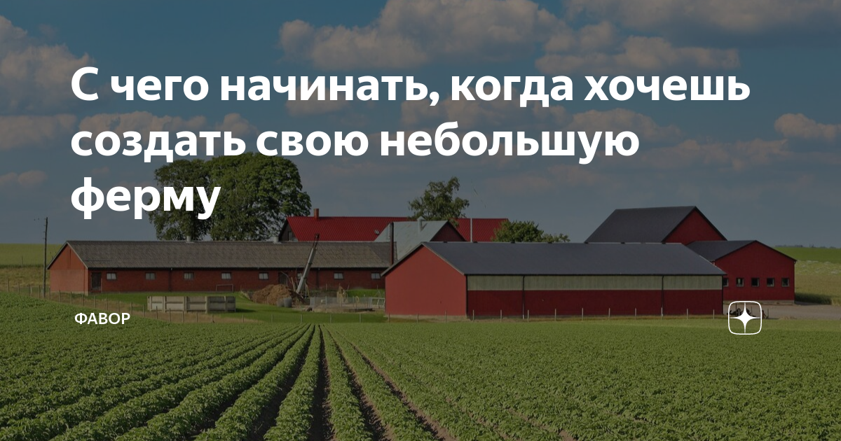 «Если кто-то хочет открыть ферму, пусть позвонит мне — я отговорю»