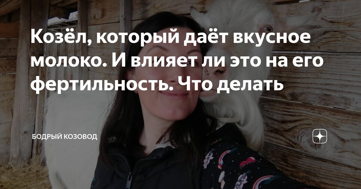 Дают ли козлы молоко. Дают ли козлы молоко. Козье молоко в бутылках. Козлёнок. Козленка с бутылочки.