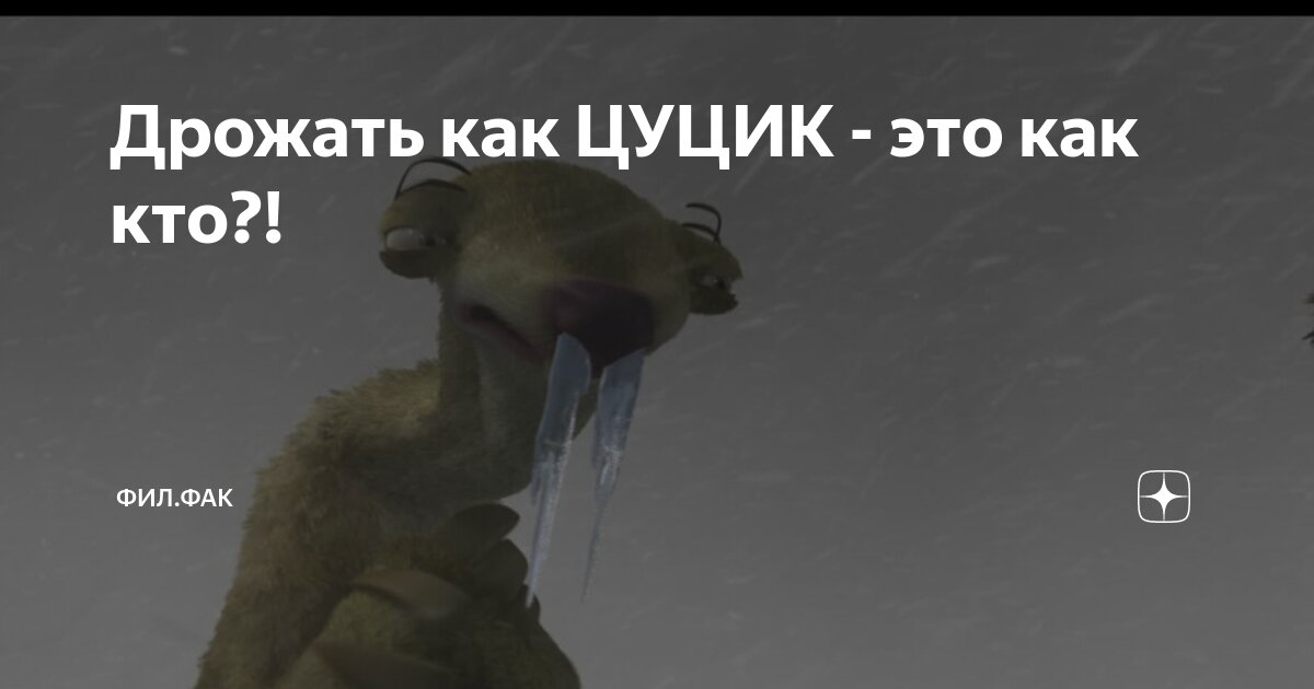 Кто такой цуцик и почему он. Замерз как цуцик. Цуцик это кто такой и почему он мерзнет