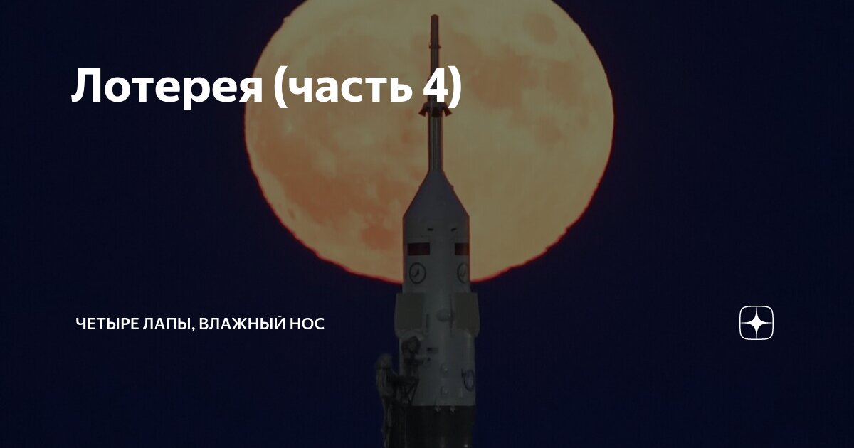 Четыре лапы влажный нос дзен