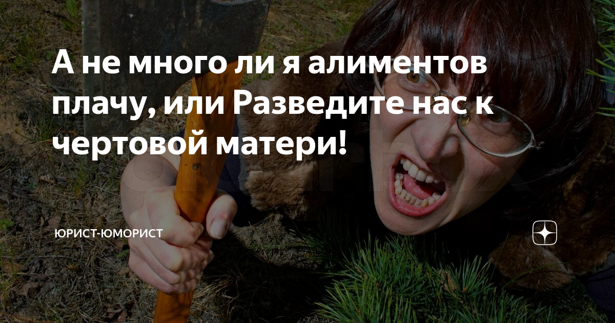 Голодным не буду последнее на дзен. Юрист-юморист дзен