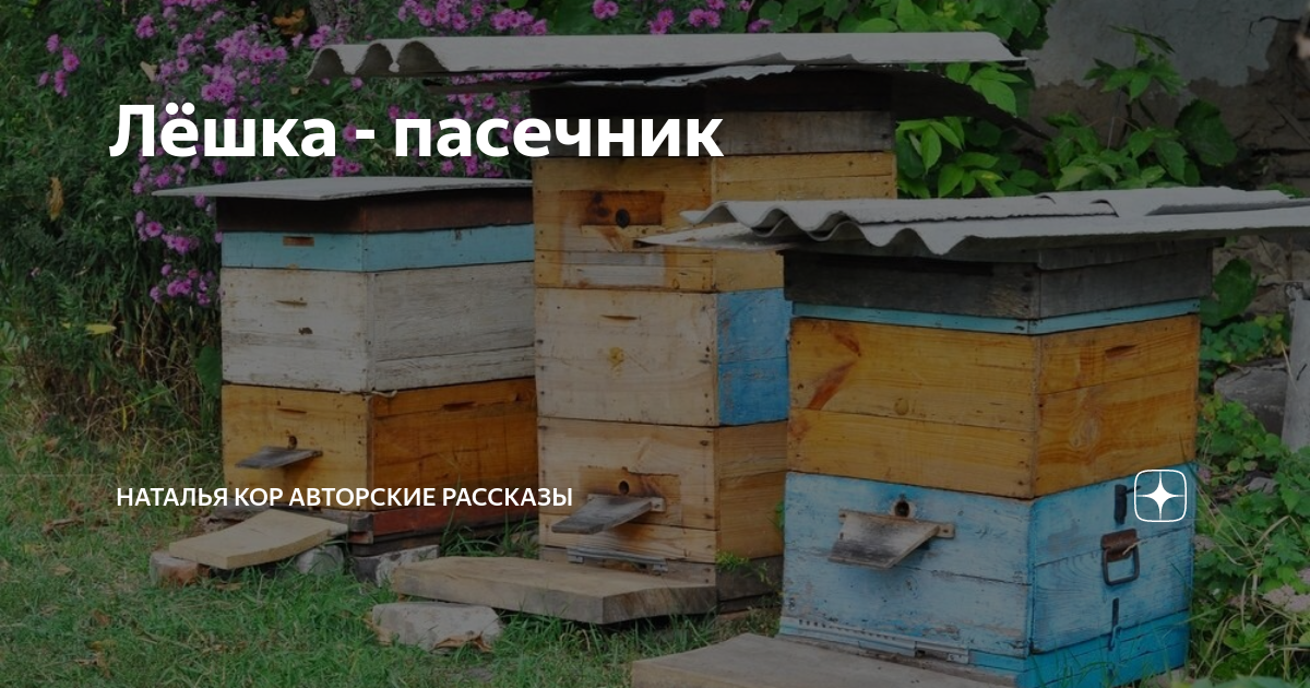 Лёшка - пасечник | Наталья Кор авторские рассказы | Дзен