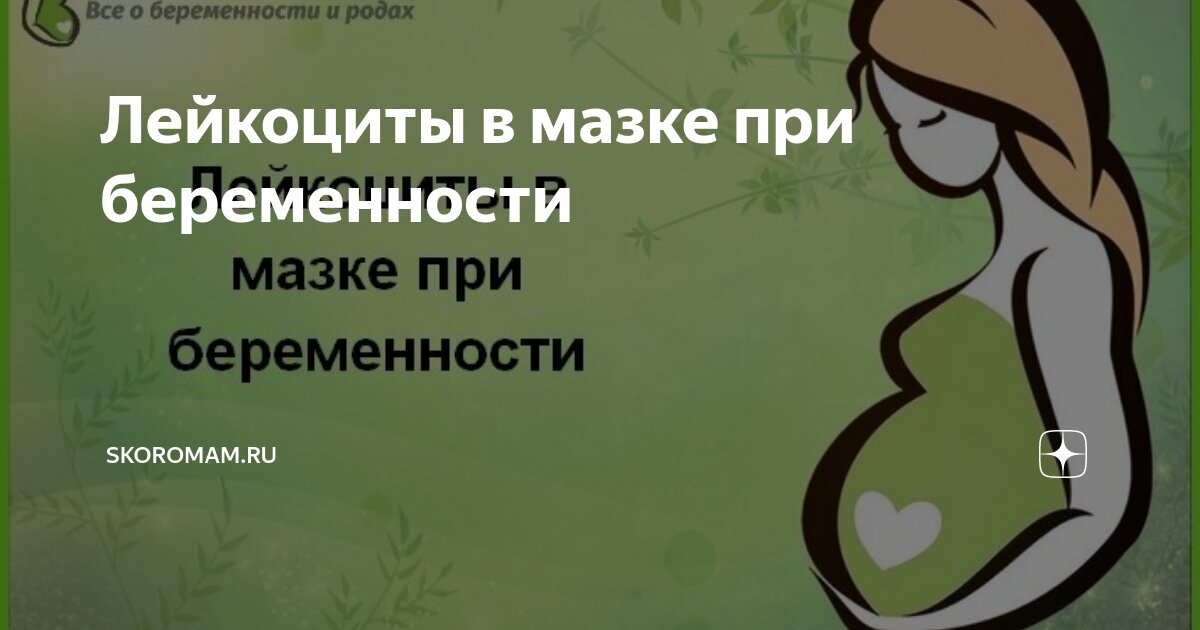 Лейкоциты в мазке. Что это значит?