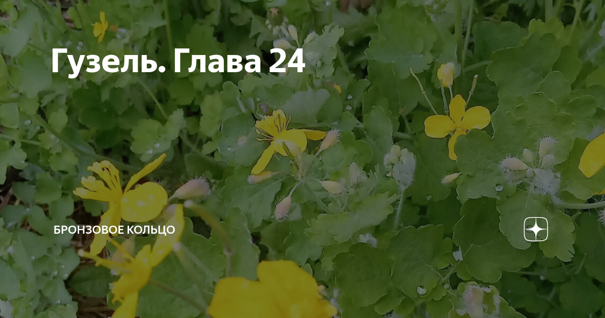 бронзовое кольцо. бронзовое кольцо дзен новый рассказ на дзен. бронзовое кольцо дзен новый рассказ на дзен. бронзовый перстень. бронзовое кольцо дзен новый рассказ на дзен.