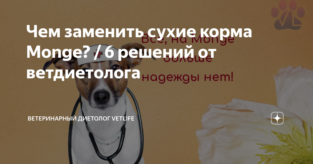 Чем заменить сухие корма Monge? / 6 решений от ветдиетолога ...