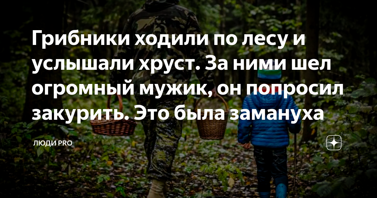 Грибники ходили по лесу и услышали хруст. За ними шел огромный мужик ...