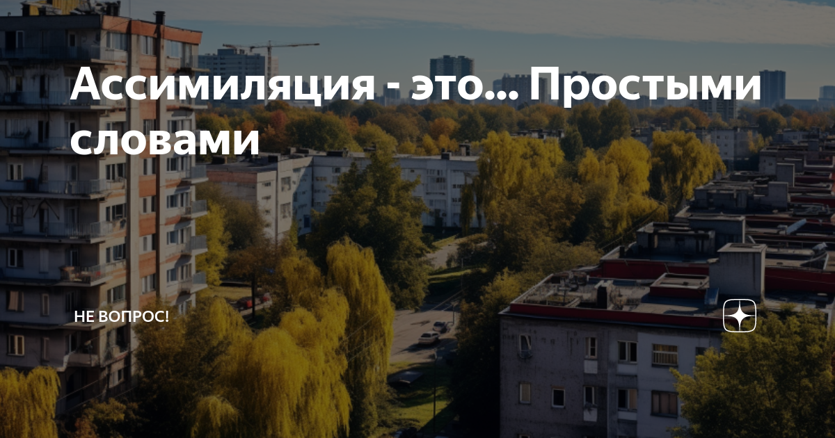 Ассимиляция - это... Простыми словами | Не вопрос! | Дзен