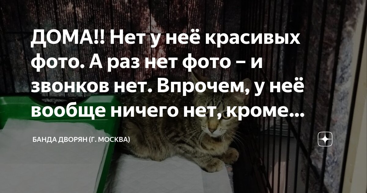 ДОМА!! Нет у неё красивых фото. А раз нет фото – и звонков нет. Впрочем ...