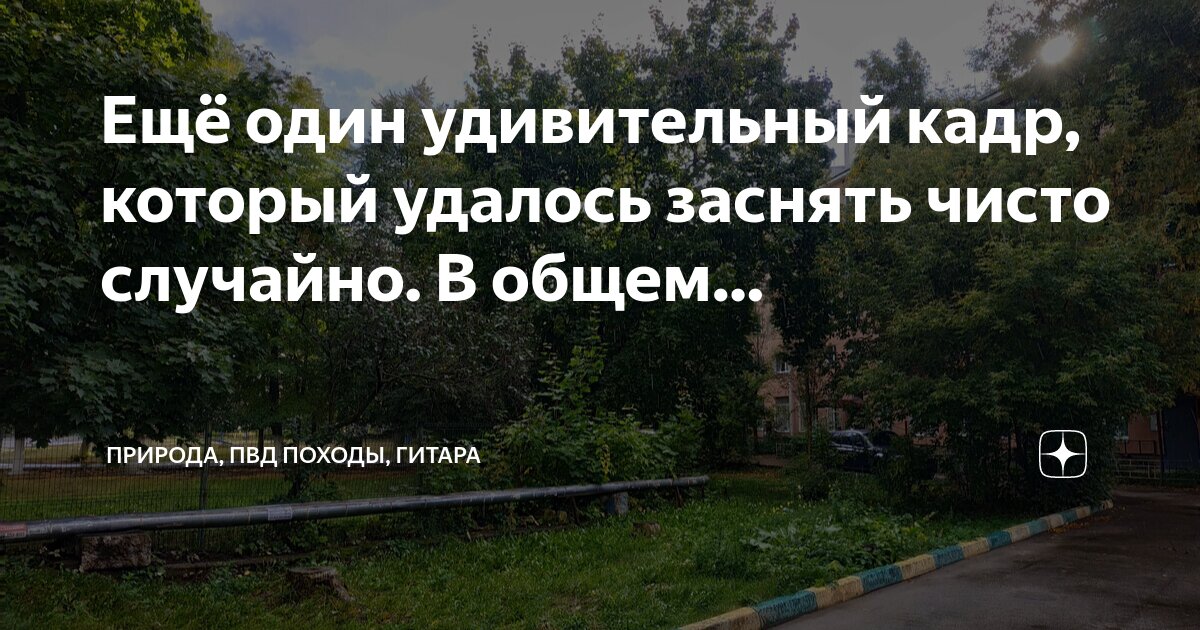 Есть мечта беги к ней. Иди вперед цитаты. Лежать по направлению к цели. Если есть мечта беги к ней. Идти вперед цитаты.
