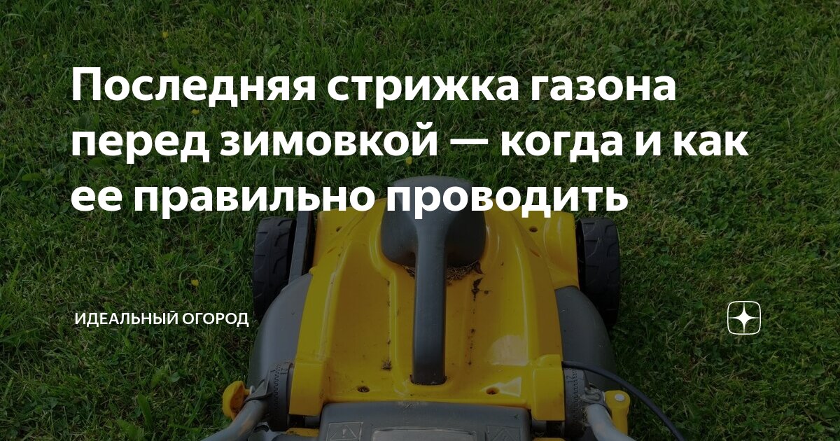 Высота газона перед зимой