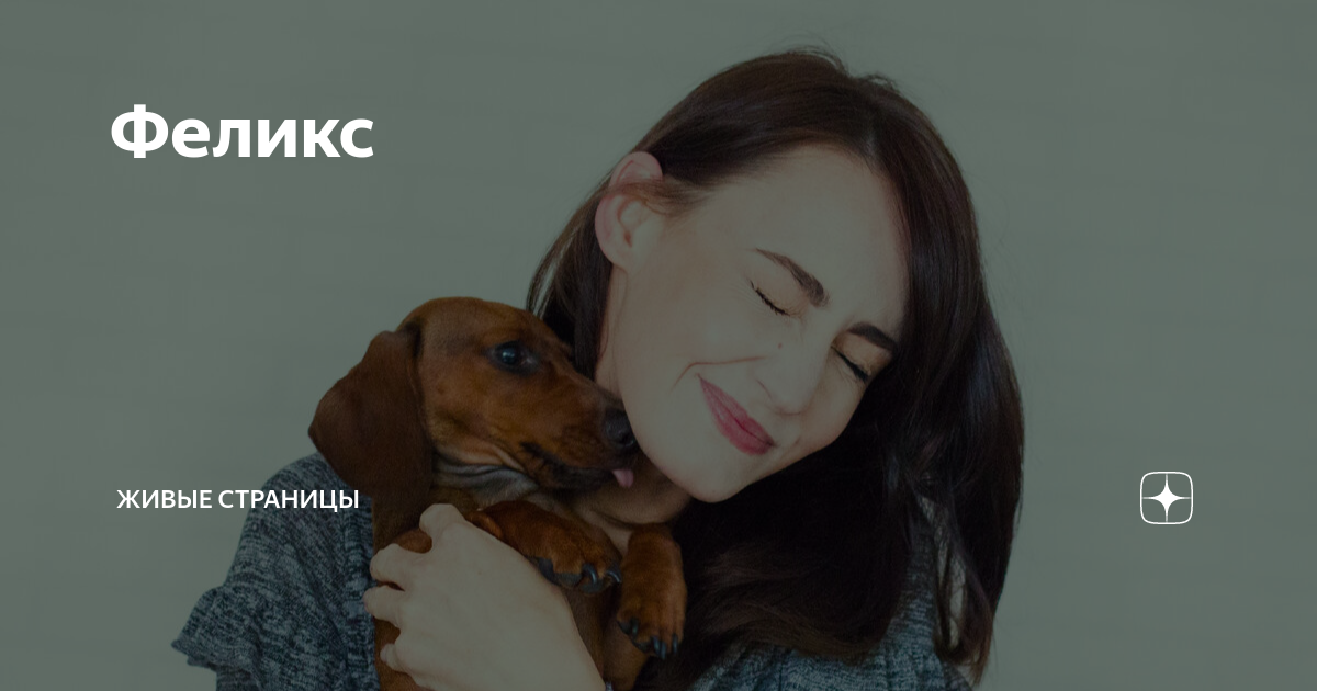 Феликс | Живые страницы | Дзен