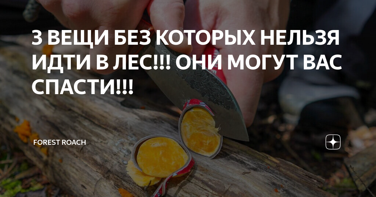 3 ВЕЩИ БЕЗ КОТОРЫХ НЕЛЬЗЯ ИДТИ В ЛЕС!!! ОНИ МОГУТ ВАС СПАСТИ ...