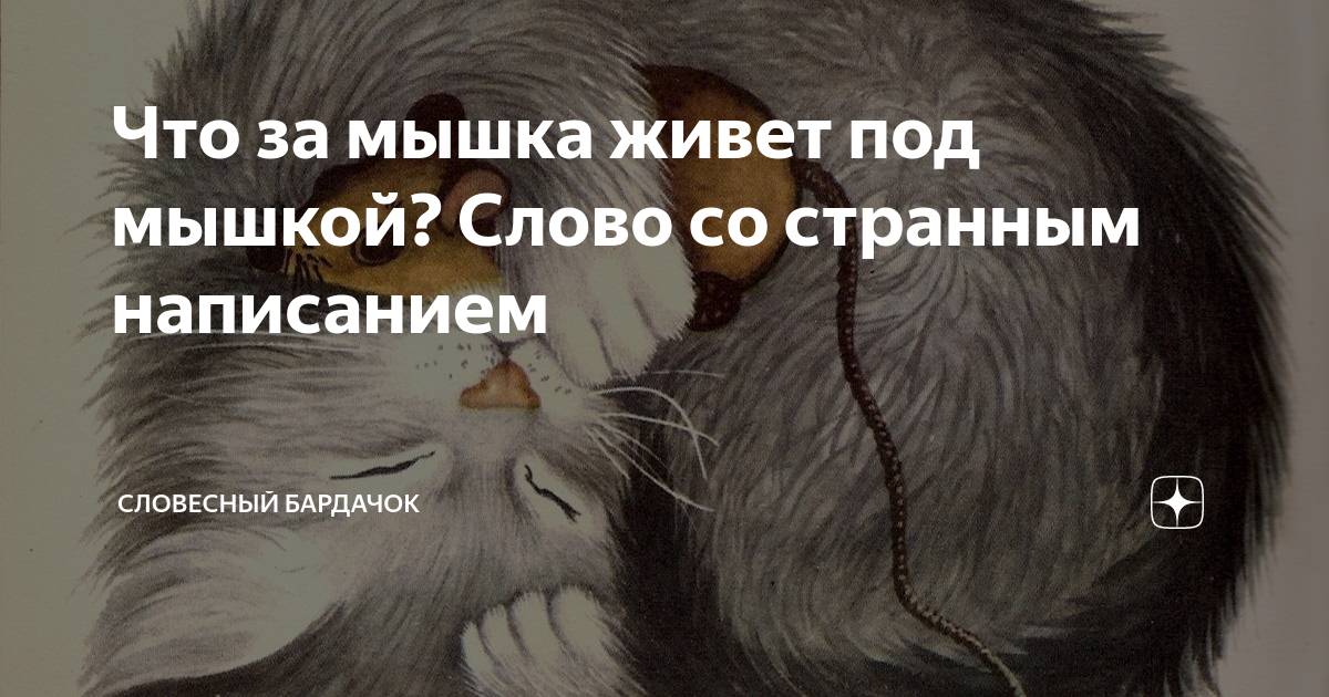 Что за мышка живет под мышкой? Слово со странным написанием | Словесный  бардачок | Дзен