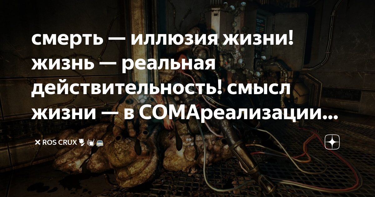 размышления о жизни и смерти