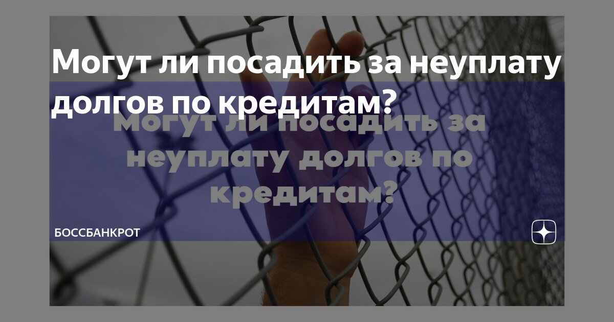 Могут ли посадить за неуплату долгов по кредитам? | БоссБанкрот | Дзен