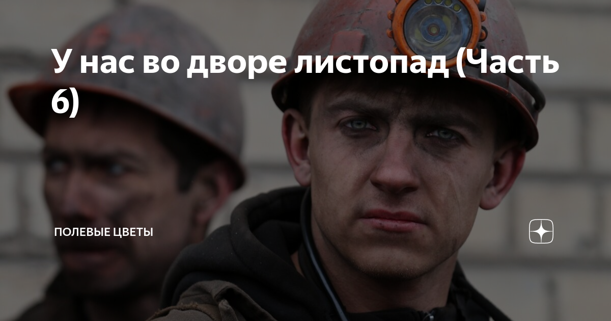 У нас во дворе листопад (Часть 6) | Полевые цветы | Дзен